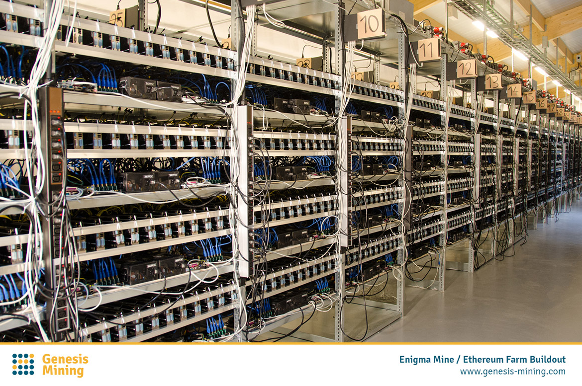 Genesis Mining Enigma Farm - Shelf